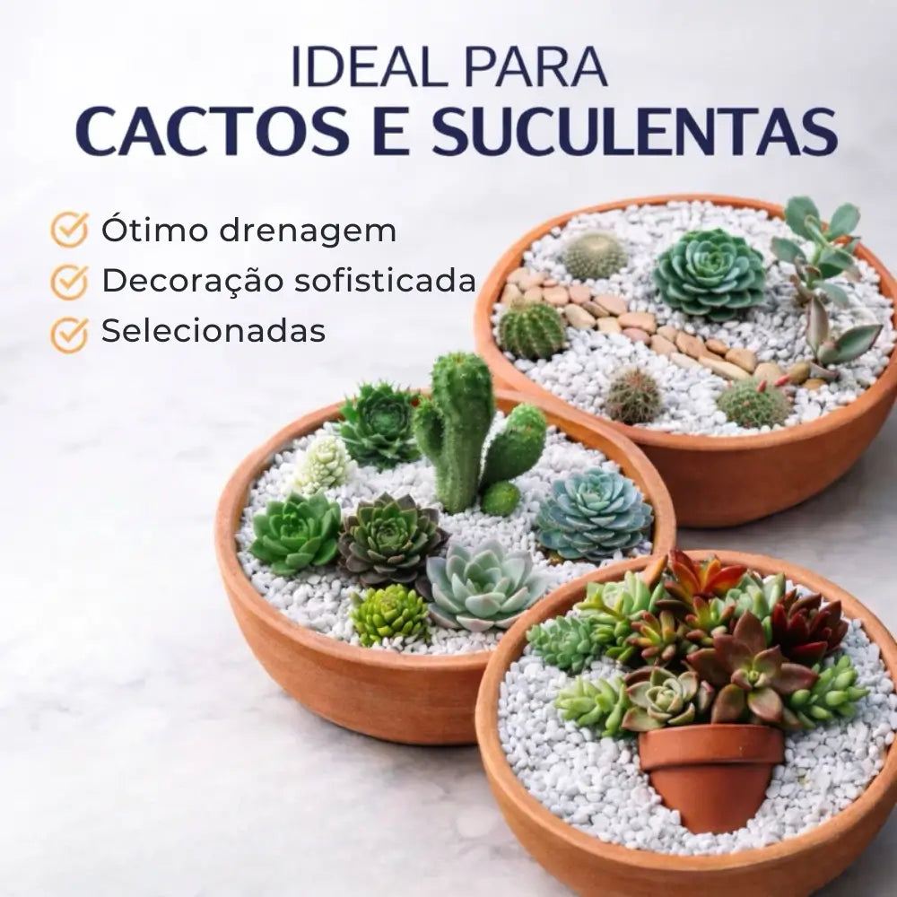 Pedra para Jardim Branca Natural Dolomita - Paixão Verde®