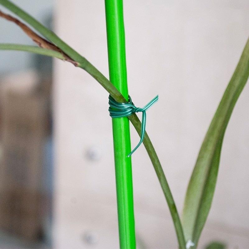 Fio De Ligação Para Plantas De Alta Resistência Ecológico - PlantMéd™ - Paixão Verde | Loja Online