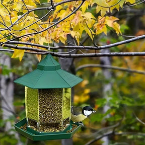 Comedouro de Passaros Livres para Jardim - Bird Feeder (LEVE 2 E PAGUE MENOS)