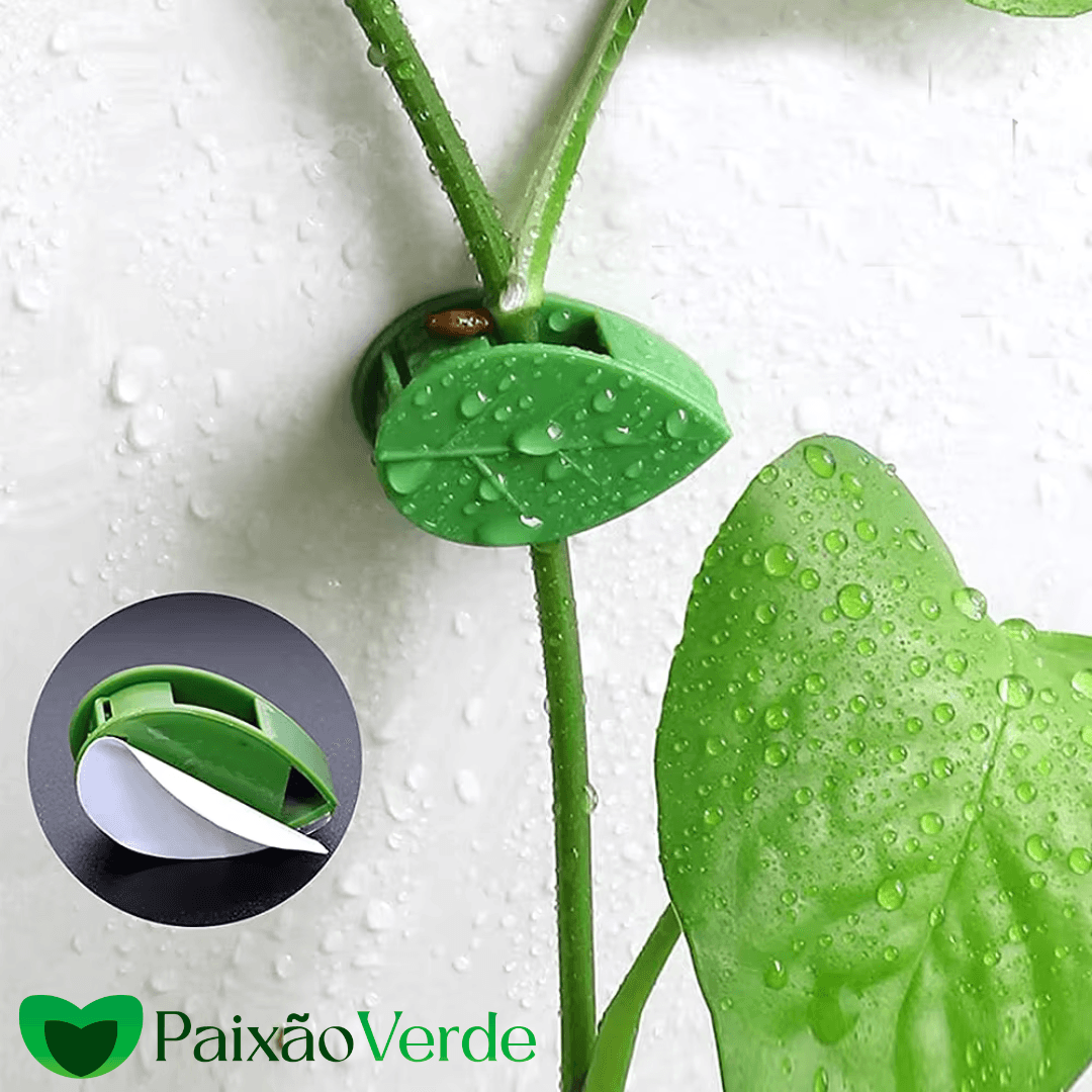 Clips de Folhas Adesivas Para Por Plantas na Parede - Paixão verde