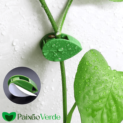Clips de Folhas Adesivas Para Por Plantas na Parede - Paixão verde