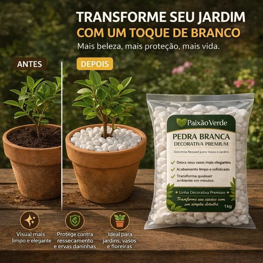 Pedra para Jardim Branca Natural Dolomita - Paixão Verde®