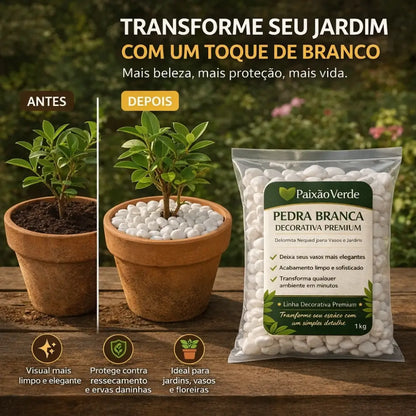 Pedra para Jardim Branca Natural Dolomita - Paixão Verde®