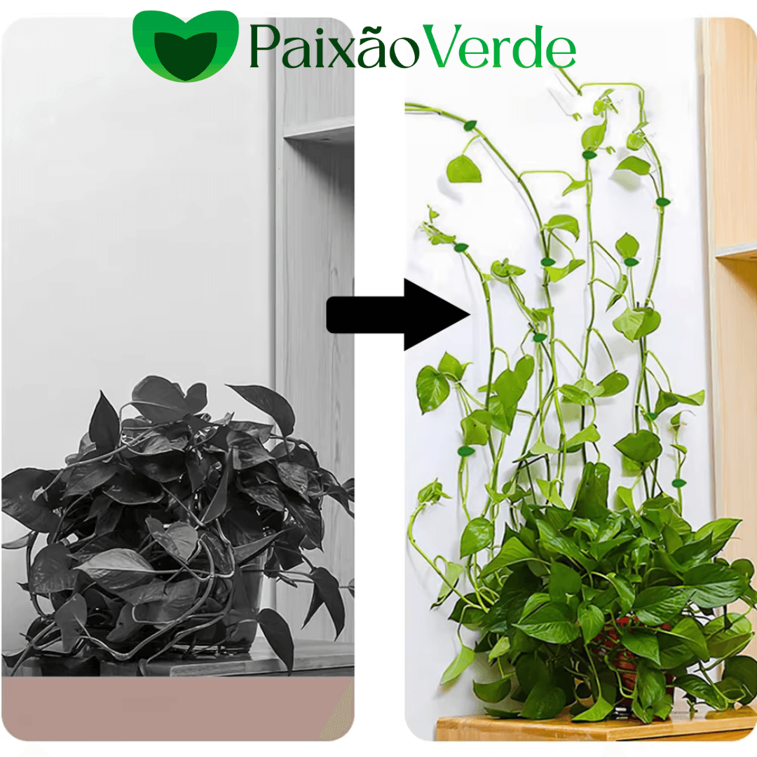 Clips de Folhas Adesivas Para Por Plantas na Parede - Paixão verde