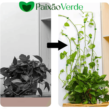 Clips de Folhas Adesivas Para Por Plantas na Parede - Paixão verde
