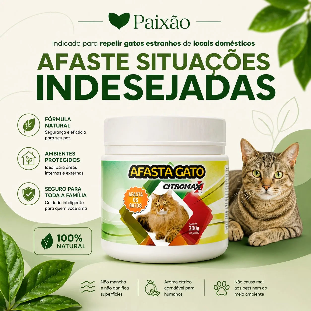 Afasta Gato Educativo -  Repelente Natural Olfativo - Paixão Verde