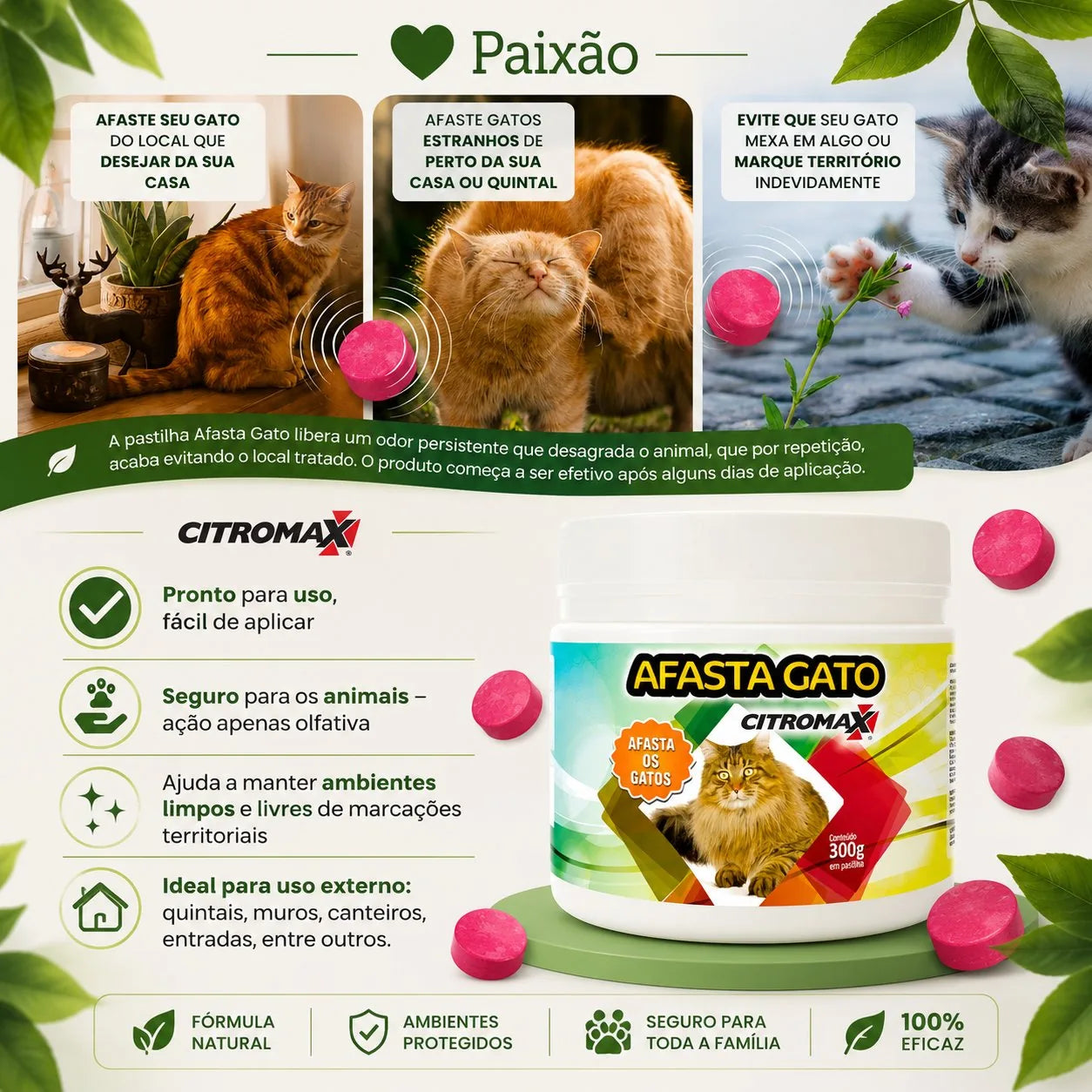 Afasta Gato Educativo -  Repelente Natural Olfativo - Paixão Verde