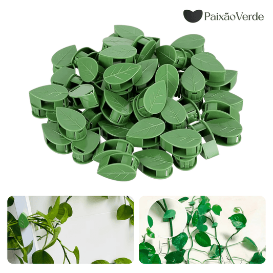 Clips de Folhas Adesivas Para Por Plantas na Parede - Paixão verde