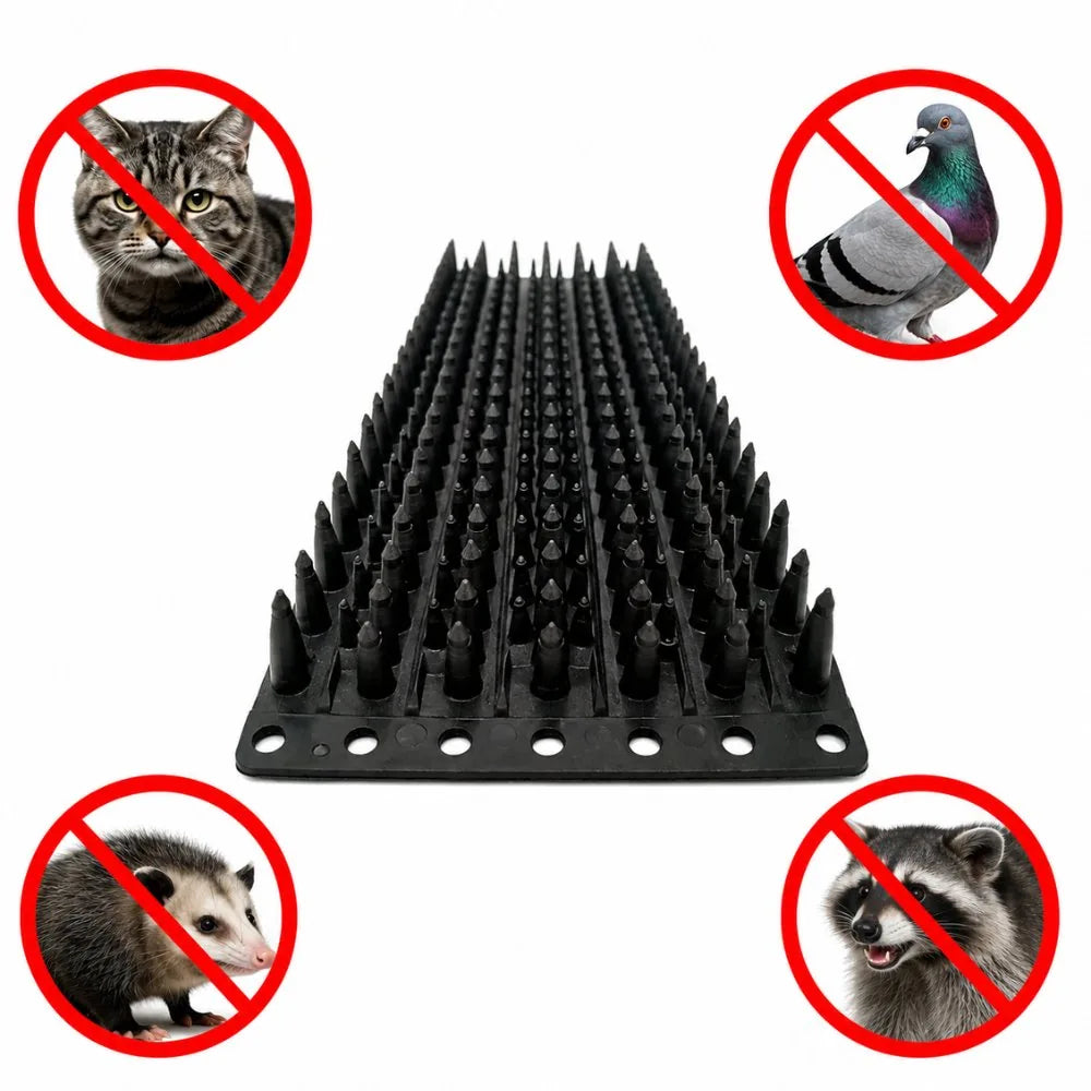 Protetor para Muro Espícula Espanta Gato, Pombo, Gamba e Saruê -  Paixão Verde®