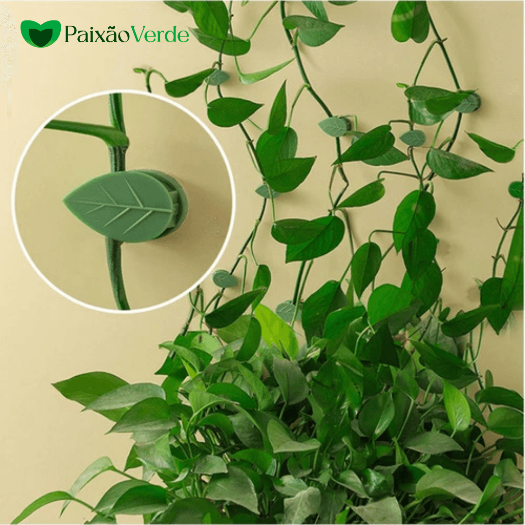 Clips de Folhas Adesivas Para Por Plantas na Parede - Paixão verde
