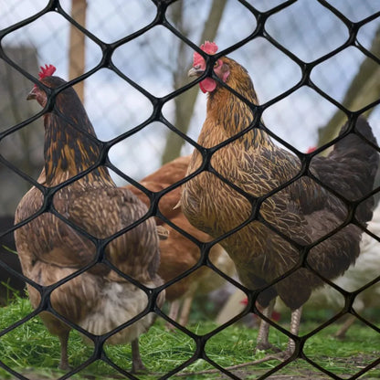 Tela Plástica Multiuso - Paixão Verde®