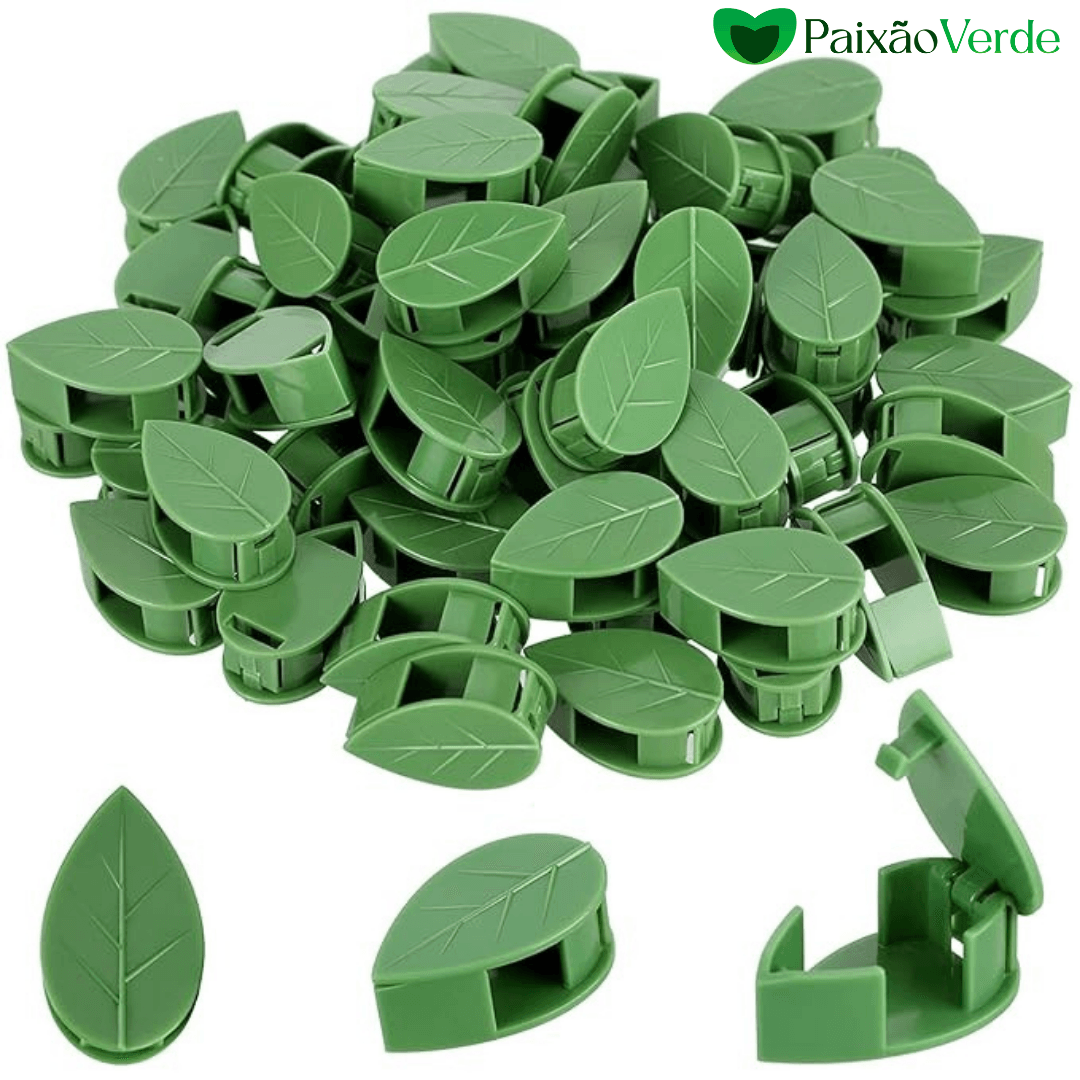 Clips de Folhas Adesivas Para Por Plantas na Parede - Paixão verde