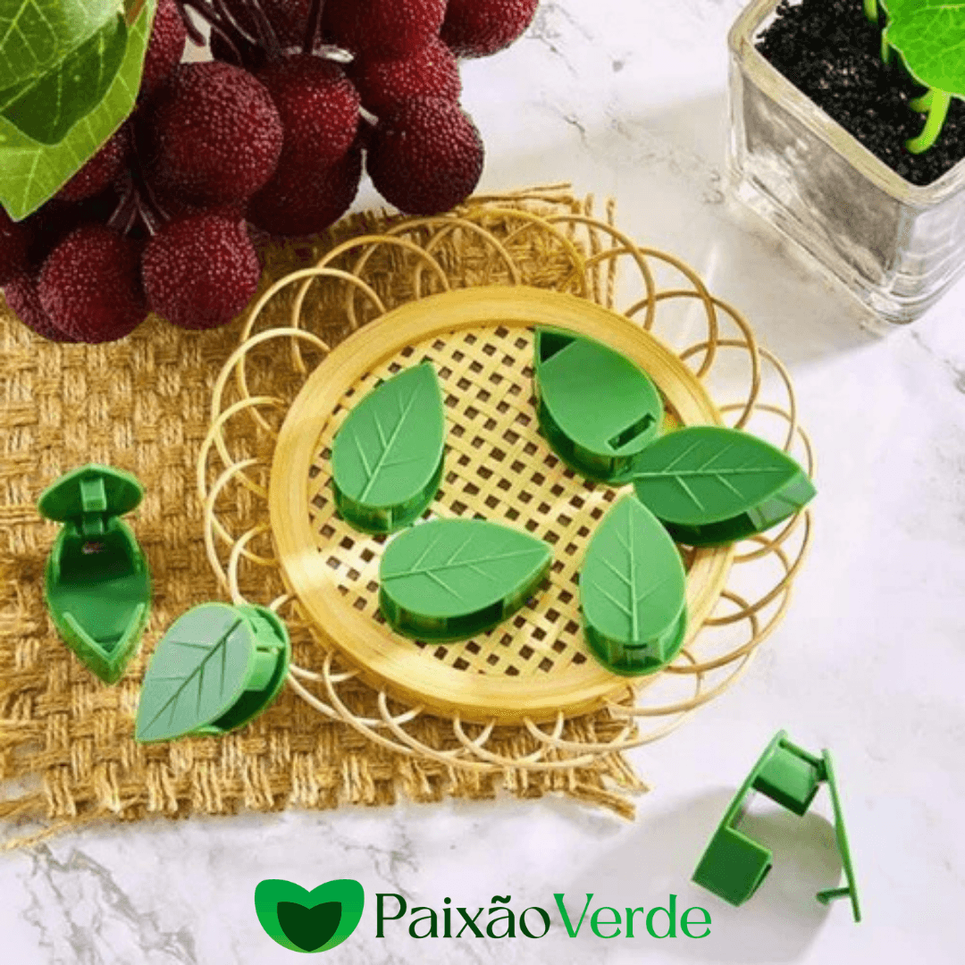 Clips de Folhas Adesivas Para Por Plantas na Parede - Paixão verde