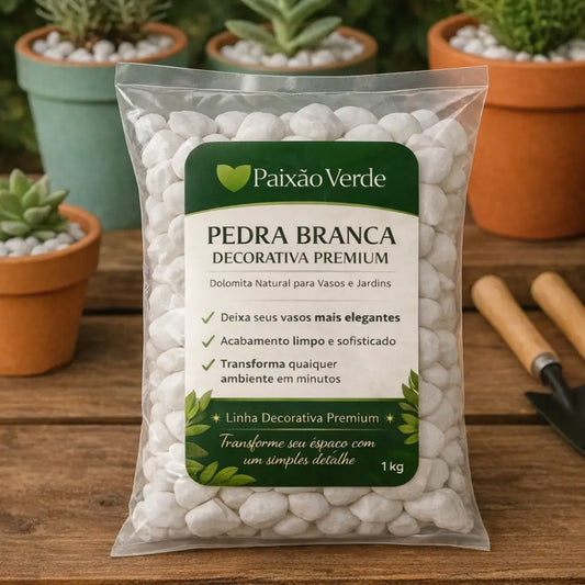 Pedra para Jardim Branca Natural Dolomita - Paixão Verde®