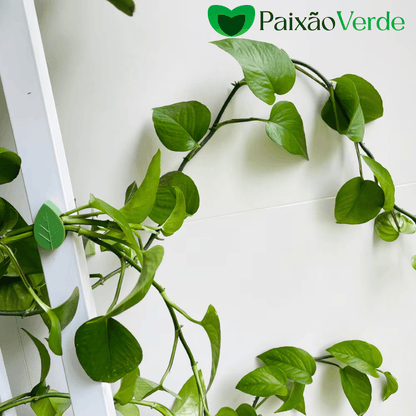 Clips de Folhas Adesivas Para Por Plantas na Parede - Paixão verde