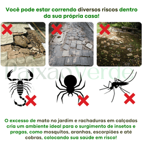 Molde para piso de concreto Paixão Verde™