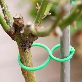 Suporte para plantas de jardim - Plant Holder - Paixão Verde | Loja Online