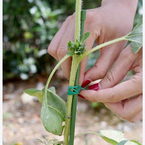 Fio De Ligação Para Plantas De Alta Resistência Ecológico - PlantMéd™ - Paixão Verde | Loja Online