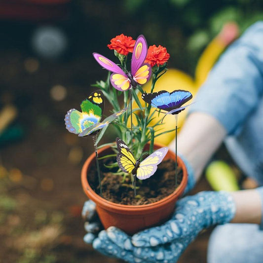 Borboletas Coloridas Decorativo Enfeite para Jardim - Paixão Verde | Loja Online