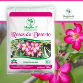 Substrato Rosas Do Deserto adubo composto Orgânico