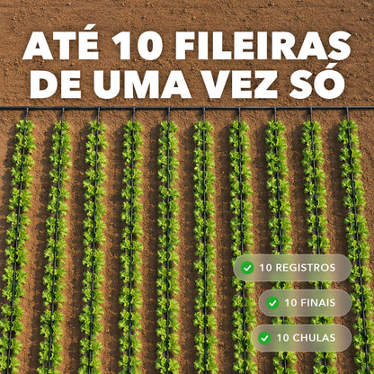 Vista aerea de dez fileiras irrigadas