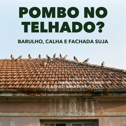Pombos no telhado, calha e fachada suja