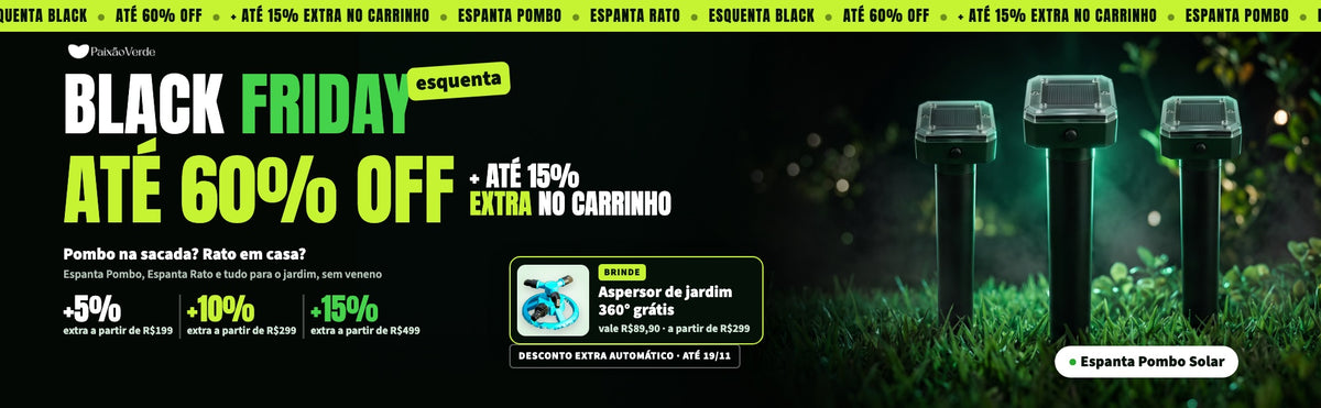 Esquenta Black Paixão Verde: até 60% off mais até 15% extra no carrinho e aspersor de jardim de brinde