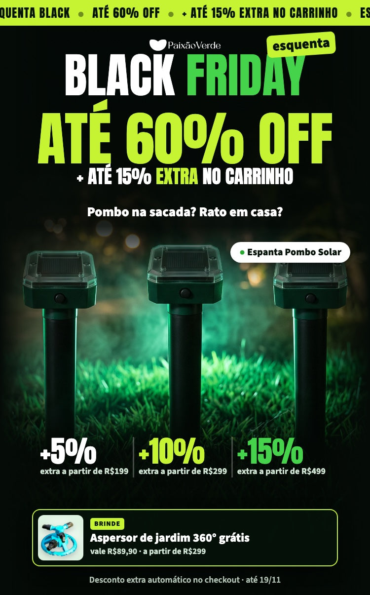 Esquenta Black Paixão Verde: até 60% off mais até 15% extra no carrinho e aspersor de jardim de brinde