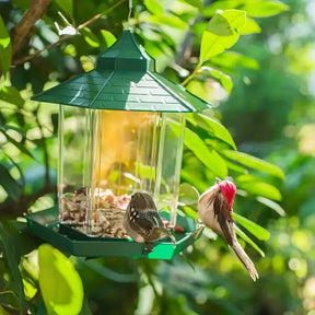 Comedouro de Passaros Livres para Jardim - Bird Feeder (LEVE 2 E PAGUE MENOS)