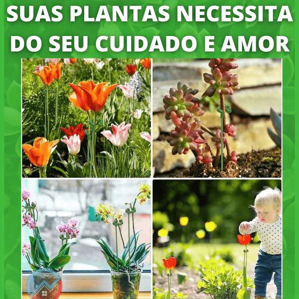 Suportes PlantLife™ - Suas Plantas Mais Grandiosas e Vivas - Paixão Verde | Loja Online