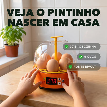 Chocadeira 6 Ovos - NinhoVivo™ Paixão Verde