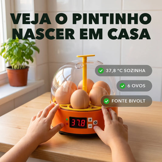 Chocadeira 6 Ovos - NinhoVivo™ Paixão Verde