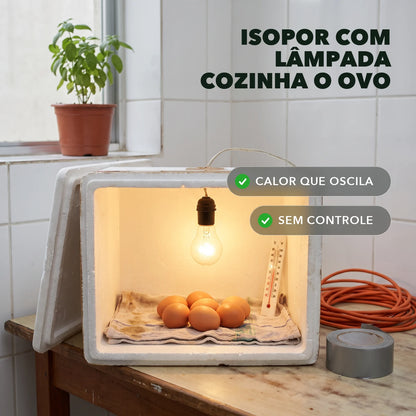 Chocadeira 6 Ovos - NinhoVivo™ Paixão Verde