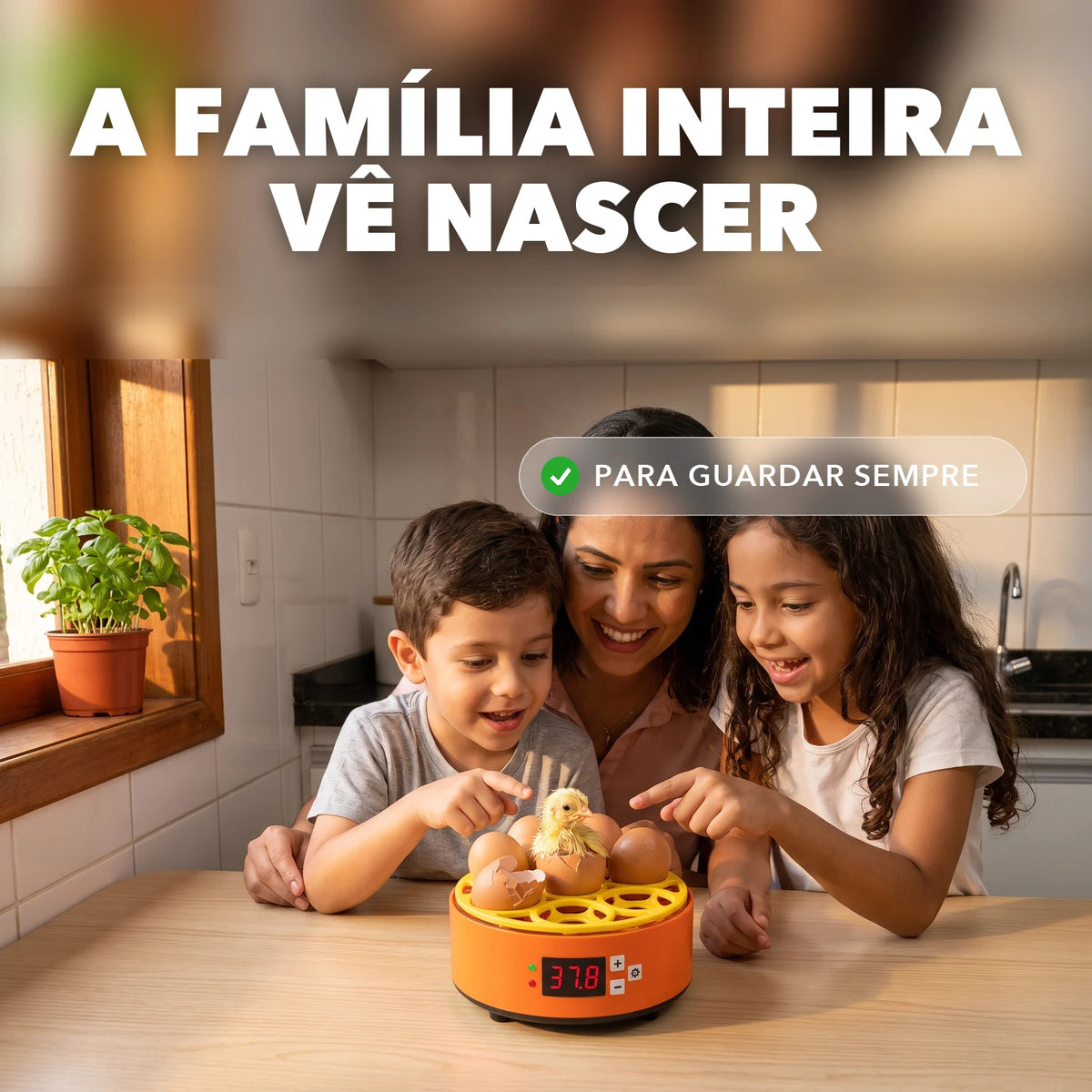 Chocadeira 6 Ovos - NinhoVivo™ Paixão Verde