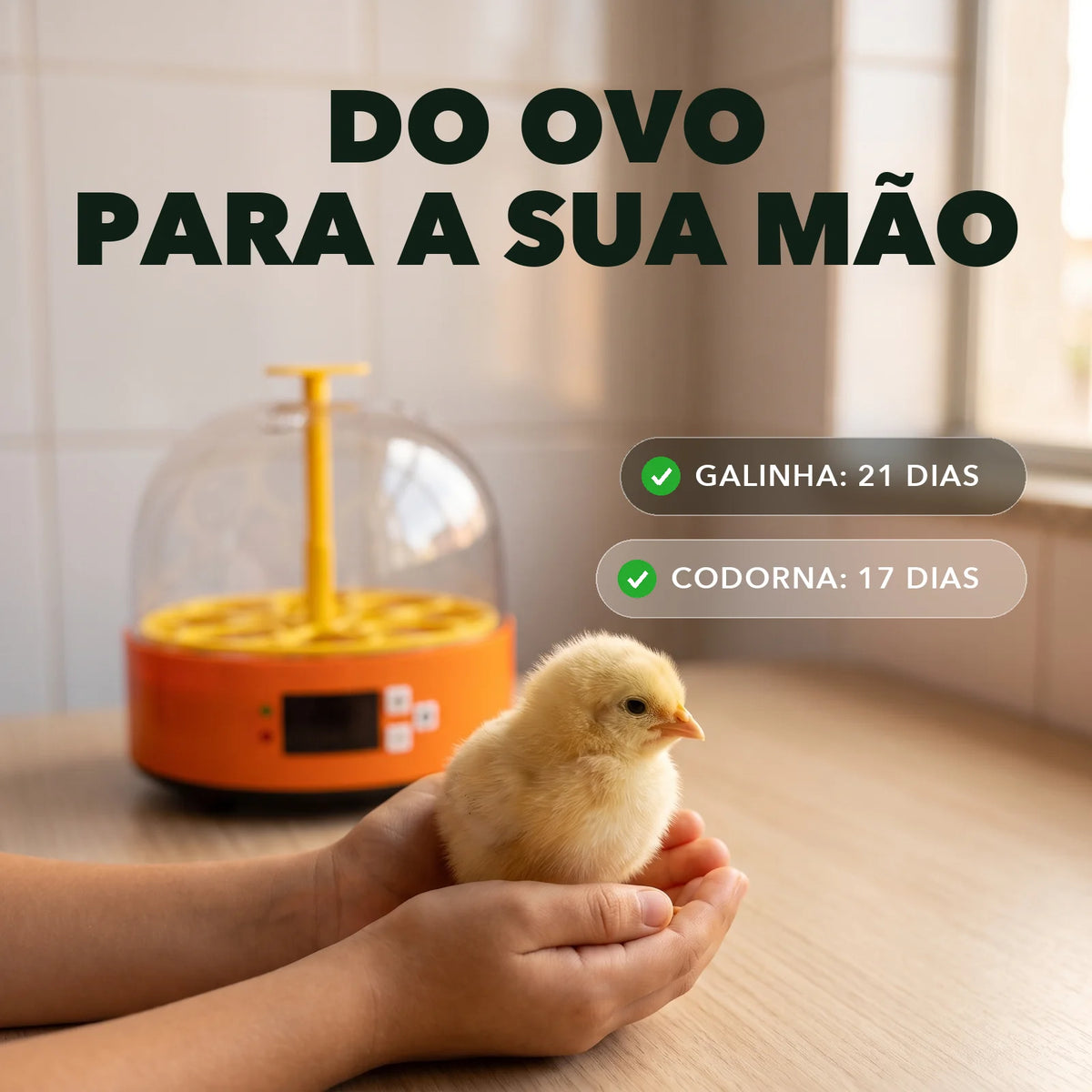 Chocadeira 6 Ovos - NinhoVivo™ Paixão Verde