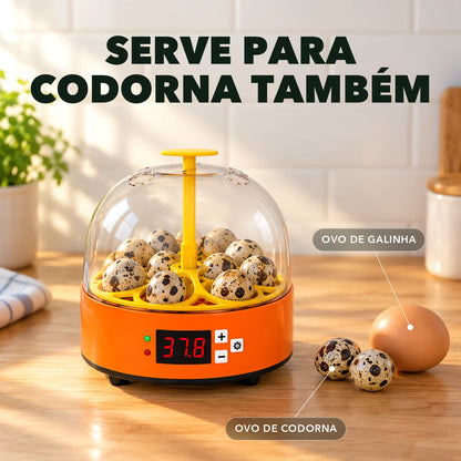 Chocadeira 6 Ovos - NinhoVivo™ Paixão Verde