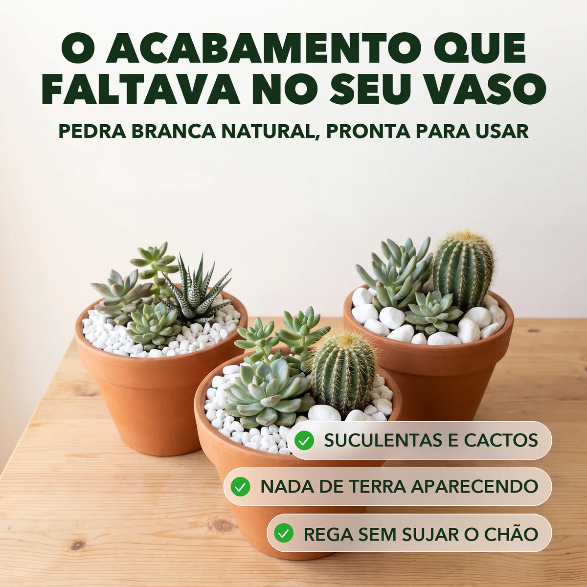 Pedra branca no vaso de suculenta e cacto, acabamento sem terra aparecendo