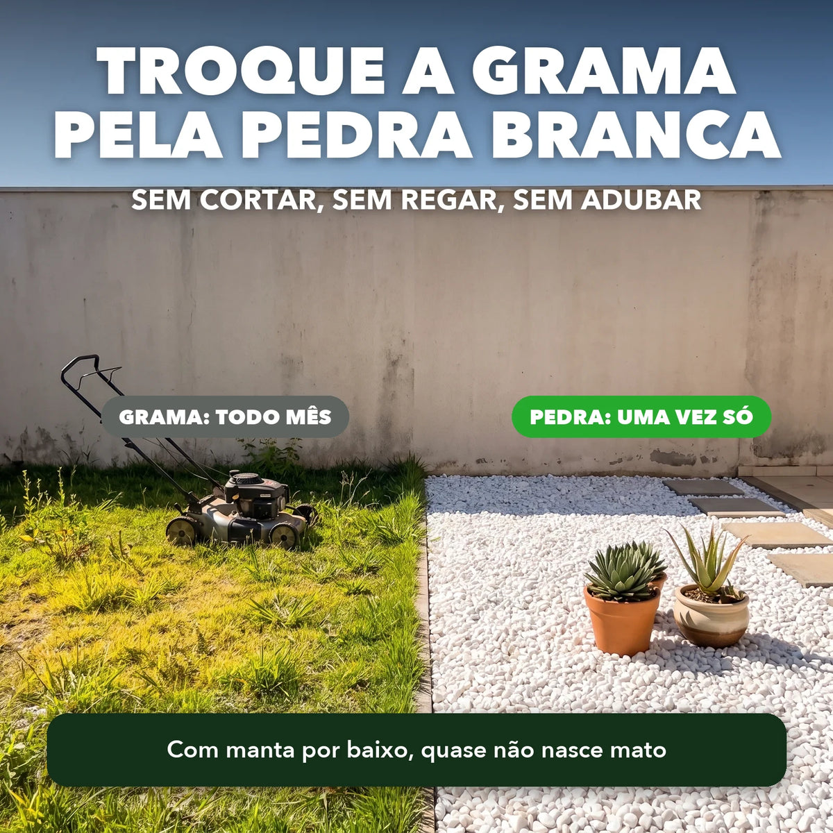 Troque a grama pela pedra branca: sem cortar, sem regar, sem adubar