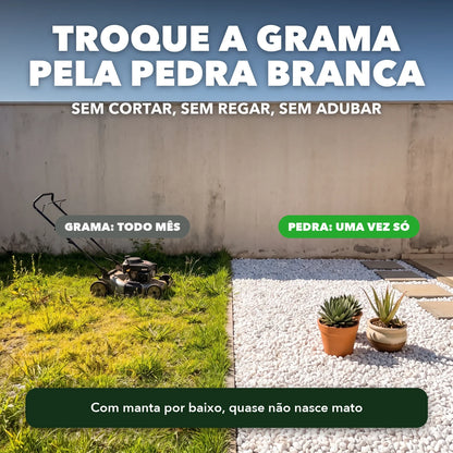 Troque a grama pela pedra branca: sem cortar, sem regar, sem adubar