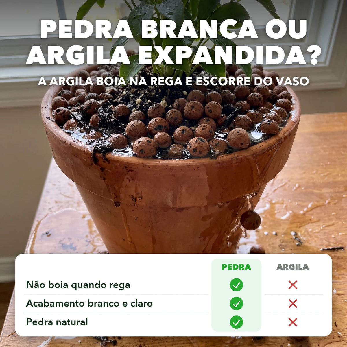 Pedra branca ou argila expandida: a argila boia na rega