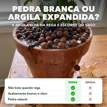 Pedra branca ou argila expandida: a argila boia na rega