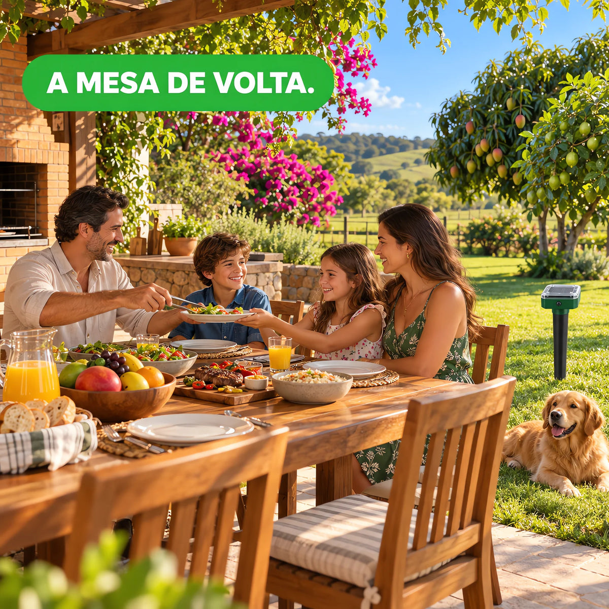 Familia almocando na area de lazer limpa do sitio com o repelente na grama