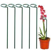 Suas Plantas Mais Grandiosas e Vivas -  Suportes PlantLife™ (Perfeito para Orquídeas, Flores e Rosas)