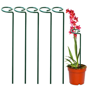 Suas Plantas Mais Grandiosas e Vivas -  Suportes PlantLife™ (Perfeito para Orquídeas, Flores e Rosas)